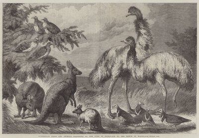 エジンバラ公がプリンスオブウェールズに贈ったオーストラリアの鳥と動物 作： Samuel John Carter
